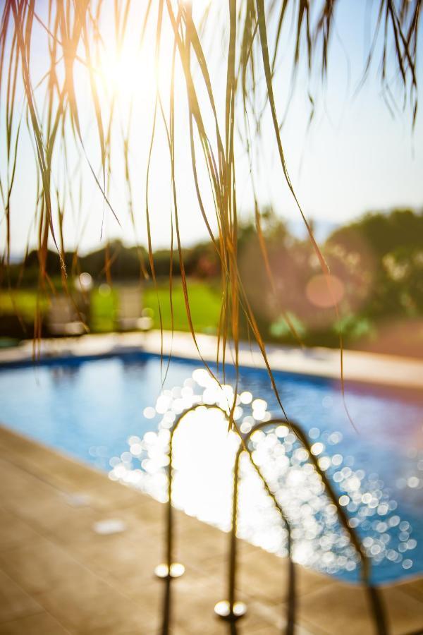 Martimi Apartments - 200M From Drapanias Beach - Pool - Hot Tub - Sauna - Bbq Kissamos Exterior photo